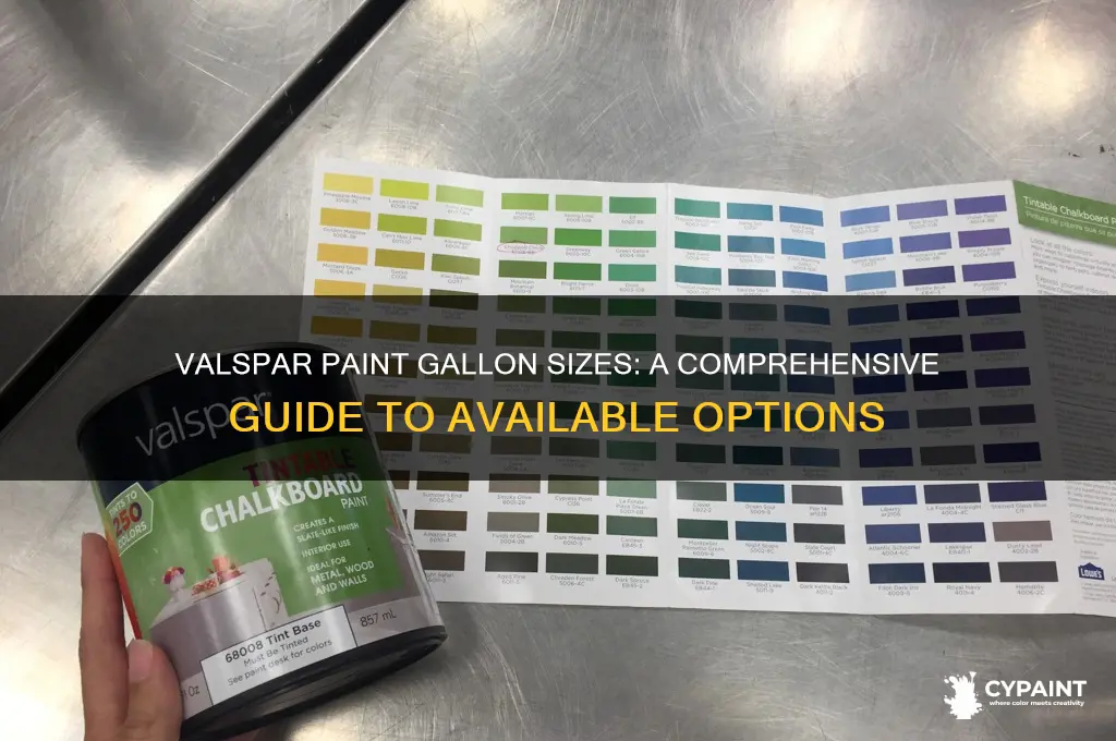 what gal size does valspar paint come in