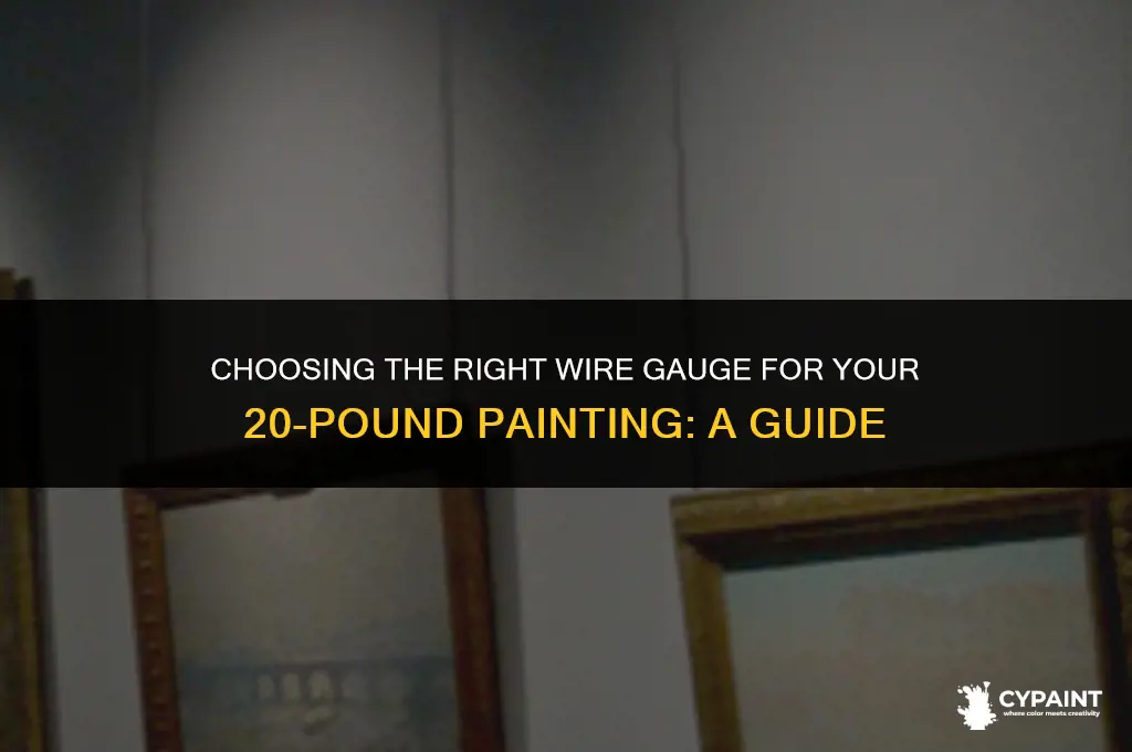 what gauge wire is appropriate for a 20 pound painting