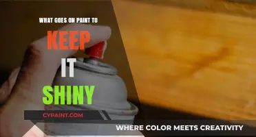 The Science Behind Paint's Shine: Ingredients for Lasting Gloss