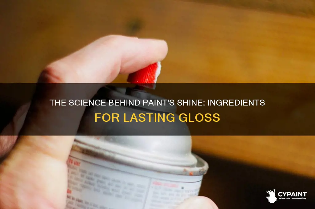what goes on paint to keep it shiny