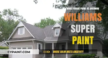 Sherwin Williams Super Paint: Understanding Its Grade and Quality