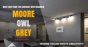 Enhancing Spaces: The Perfect Gray Paint to Contrast with Benjamin Moore Owl Grey