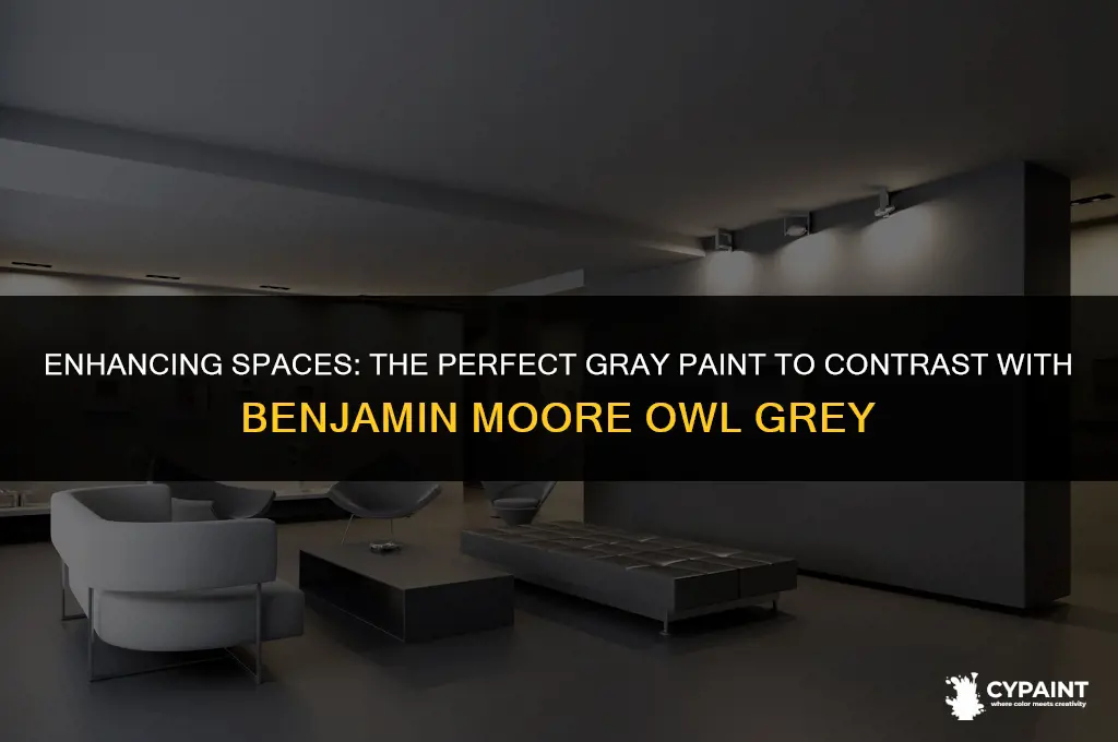 what gray paint for contrast with benjamin moore owl grey
