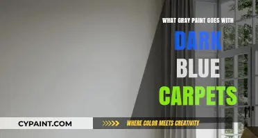 Perfect Gray Paint Shades to Complement Dark Blue Carpets in Any Room