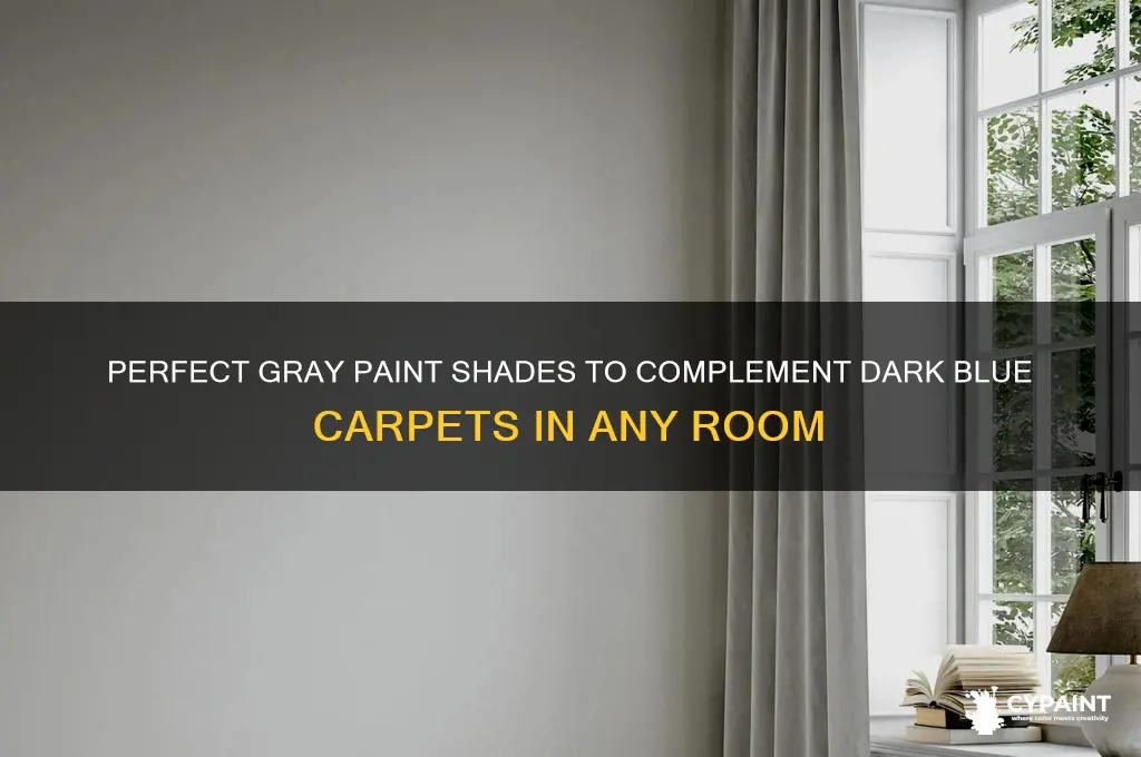 what gray paint goes with dark blue carpets