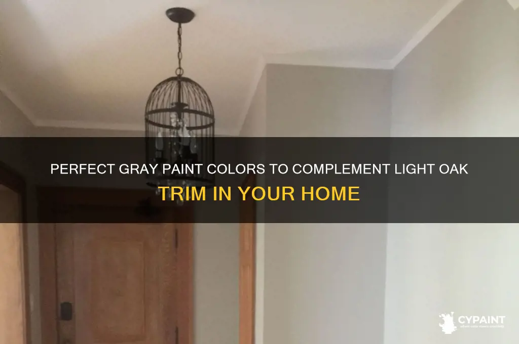 what gray to paint with light oak trim
