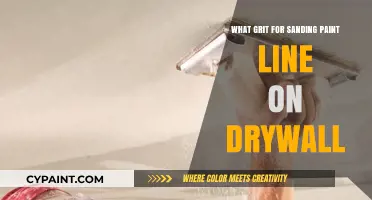 Best Grit for Sanding Paint Lines on Drywall: A Guide