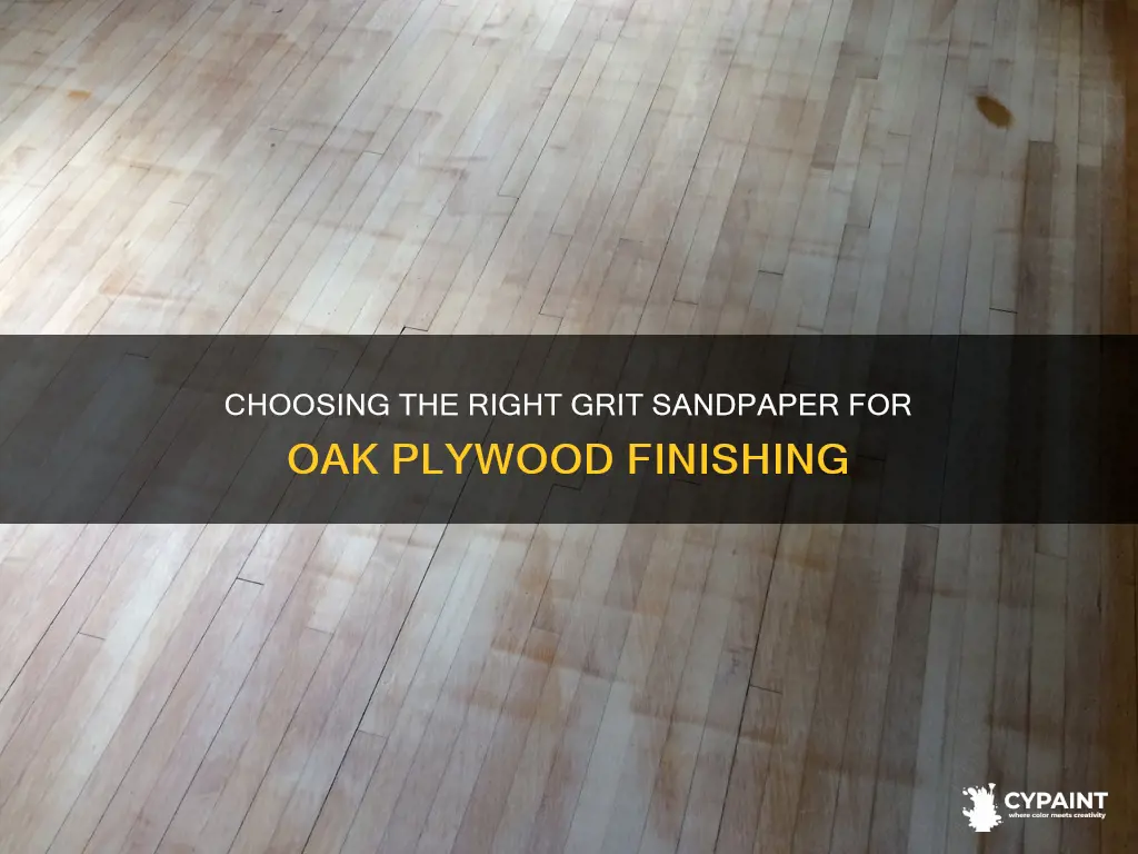 what grit sandpaper to finish oak plywood before painting
