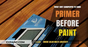 Best Grit Sandpaper for Smoothing Primer Before Painting Tips