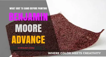 Grit Sanding for a Flawless Benjamin Moore Advance Paint Job
