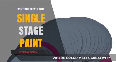 Perfect Grit for Wet Sanding Single Stage Paint: Expert Tips