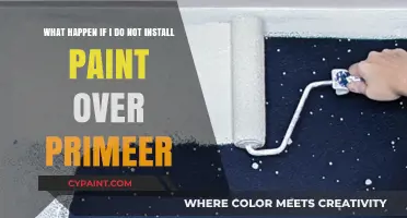 Unfinished Business: The Consequences of Skipping Paint Over Primer