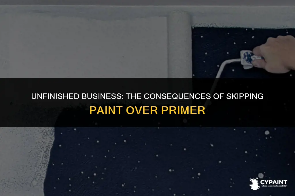 what happen if i do not install paint over primeer