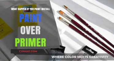 Primer and Paint: A Perfect Match