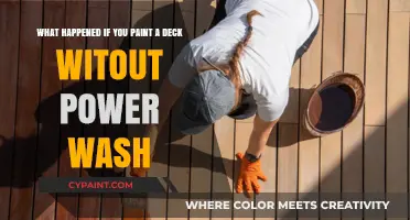 Deck Painting Disaster: Skipping the Power Wash
