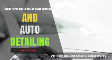 Dallas Paint Correction and Auto Detailing: What's the Story?