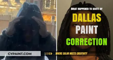 Scott of Dallas Paint Correction: The Sudden Disappearance Explained