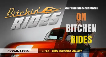 What Happened to Painter on Bitchen Rides: The Untold Story