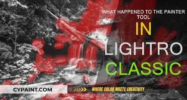 Where is the Painter Tool in Lightroom Classic?