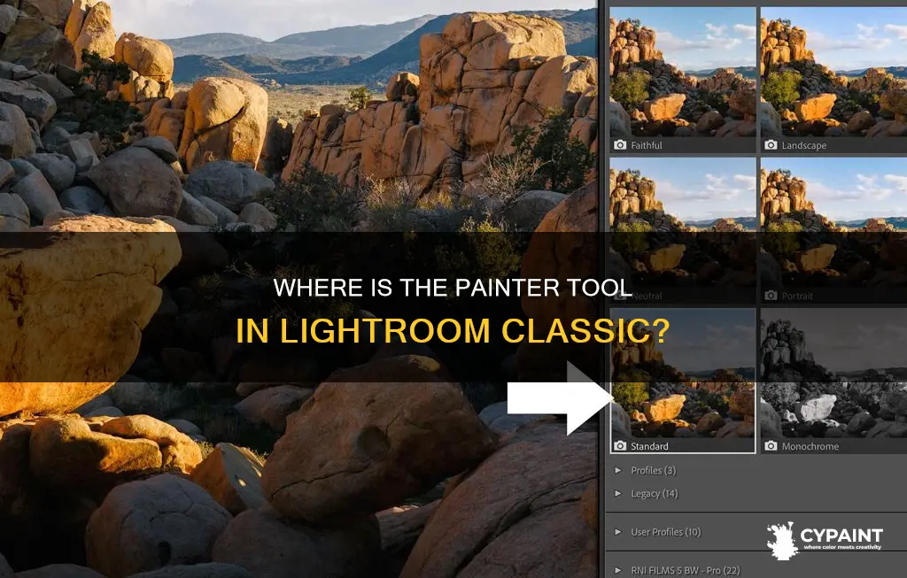 what happened to the painter tool in lightroom classic
