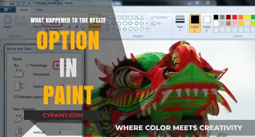 Missing Resize Feature in Paint: What Happened and How to Fix