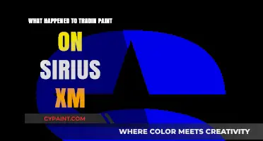 What Happened to Tradin Paint on Sirius XM?