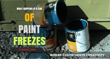Frozen Paint Cans: What Happens and How to Fix It
