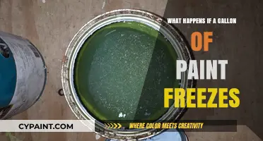 Frozen Paint: What Happens When a Gallon Freezes?