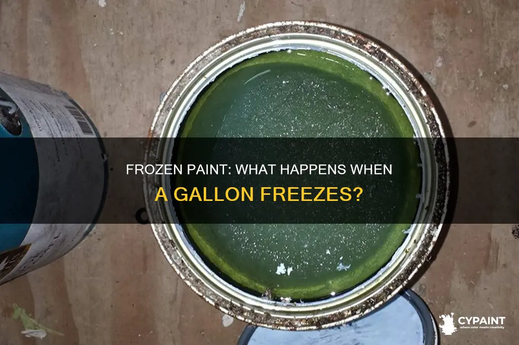 what happens if a gallon of paint freezes