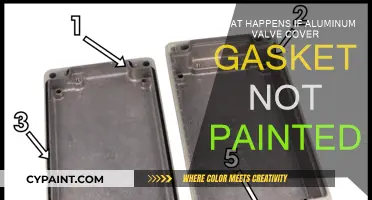 Aluminum Valve Cover Gasket: Paint Protection or Not?