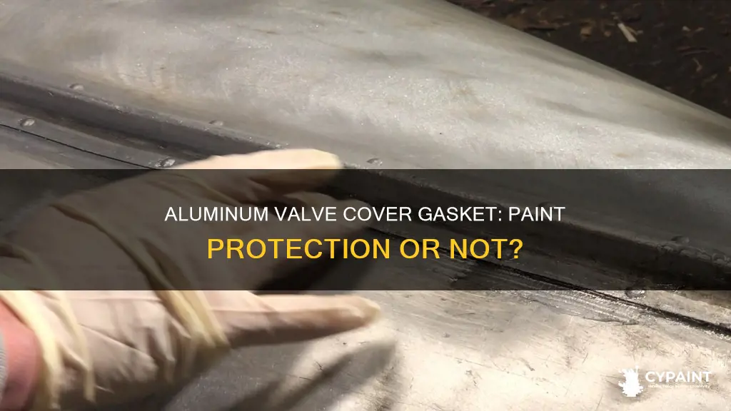 what happens if aluminum valve cover gasket not painted