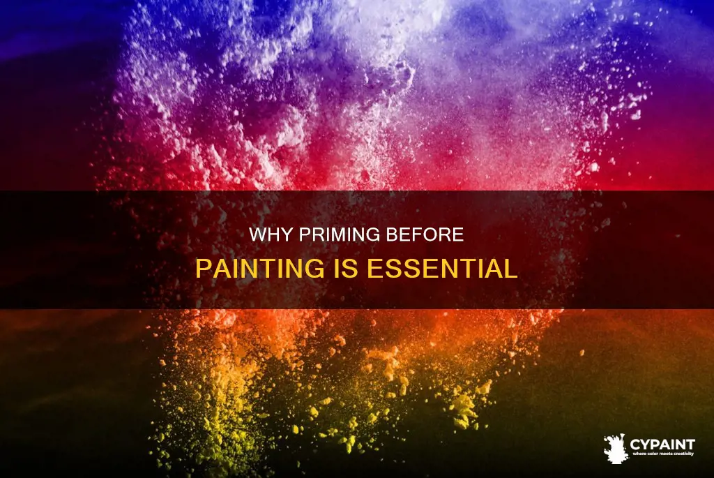 what happens if i don t prime before painting