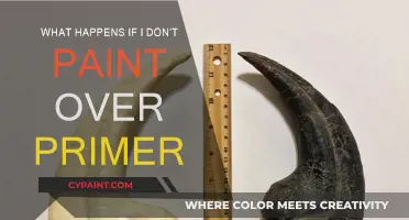 Primer Left Unpainted: What You Need to Know