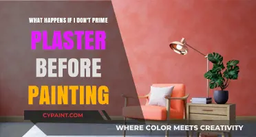 Why Priming Plaster Before Painting Is Essential for a Flawless Finish