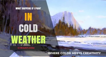 Painting in Cold Weather: Risks, Challenges, and Best Practices for Success