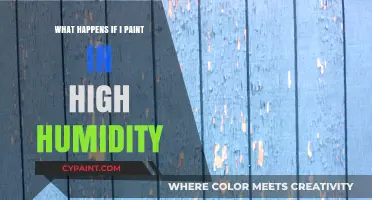 Painting in High Humidity: Challenges, Risks, and How to Avoid Them