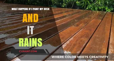 Weathering the Storm: Painting Your Deck Before Rain