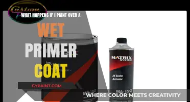 Primer Predicament: The Consequences of Painting Over Wet Primer