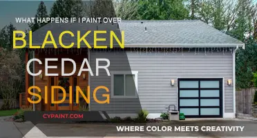 Painting Over Blackened Cedar Siding: What You Need to Know