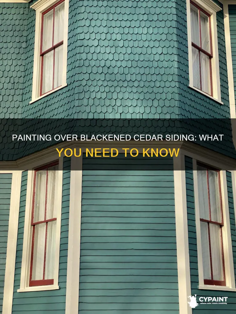 what happens if i paint over blackened cedar siding