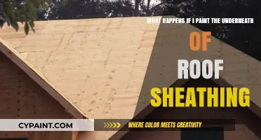 Exploring the Effects of Painting Underneath Roof Sheathing