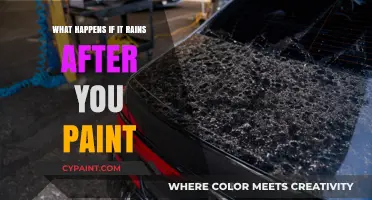 Rain After Painting: Effects, Risks, and How to Protect Your Work