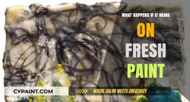 Rain on Fresh Paint: Effects, Risks, and Quick Remedies