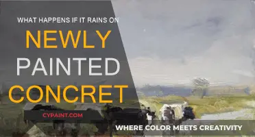 How Rain Affects Freshly Painted Concrete