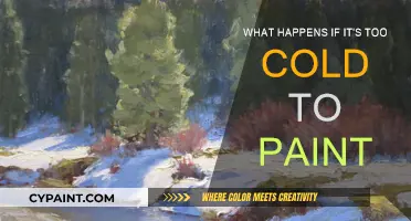 Freezing Weather: Painting Don'ts and Do's