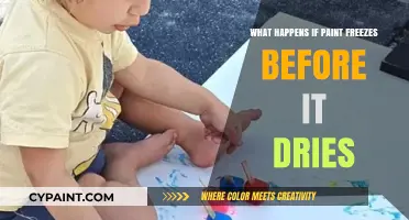 Frozen Paint: What Happens When It Freezes Before Drying?