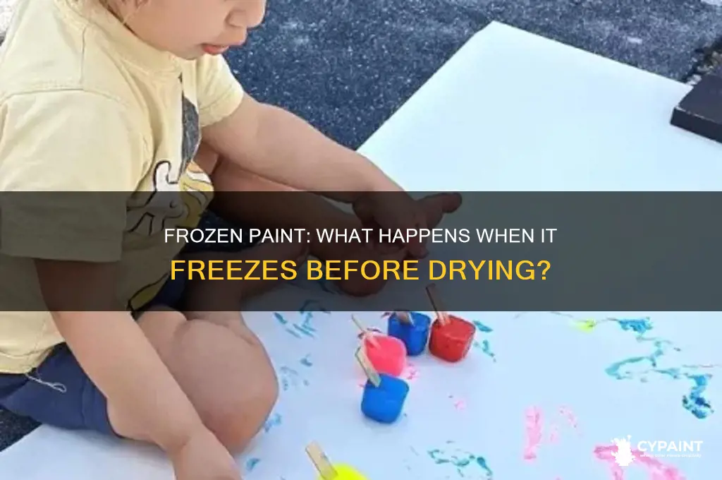 what happens if paint freezes before it dries