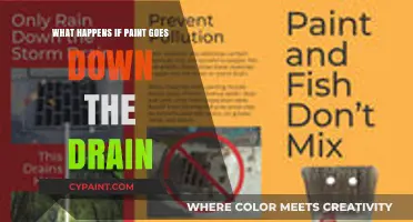 Paint Down the Drain: Environmental Risks and Proper Disposal Tips