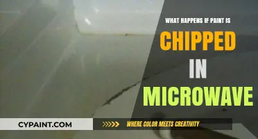 Chipped Paint in Microwave: Risks, Safety Concerns, and Solutions Explained