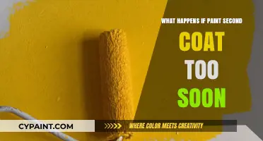 Consequences of Applying Second Paint Coat Prematurely: What to Expect
